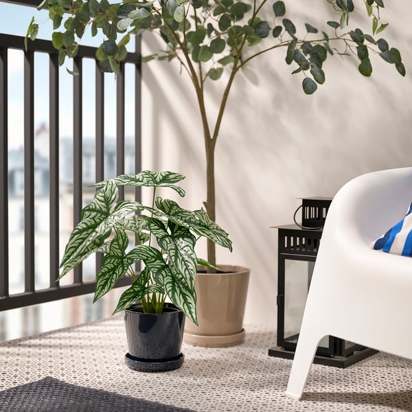 Small potted plant on balcony table, next to white chair.
