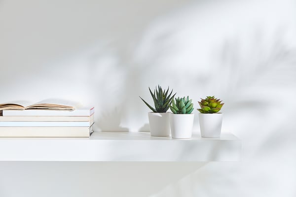 Three white pots with green succulents on a white shelf beside stacked books. Clean, minimalist design.
