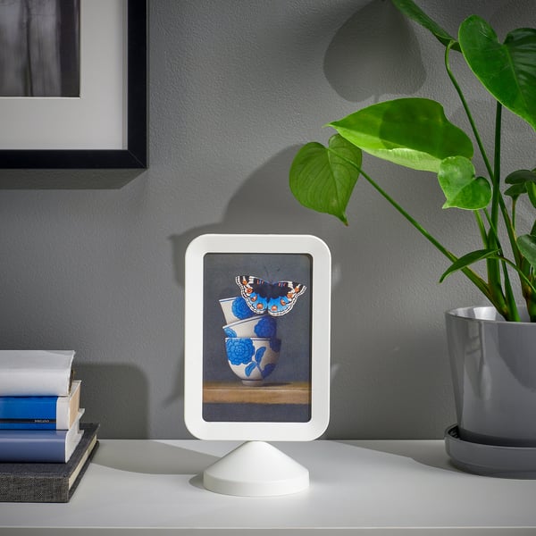 Digital photo frame with butterfly, books, and plant.