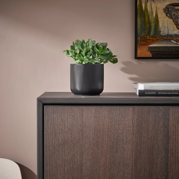 Black ribbed vase with green plant on dark cabinet.
