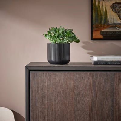 Black ribbed vase with green plant on dark cabinet.