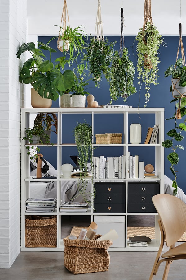 White KALLAX shelving unit against blue wall, filled with books, baskets, plants, and decorative items.