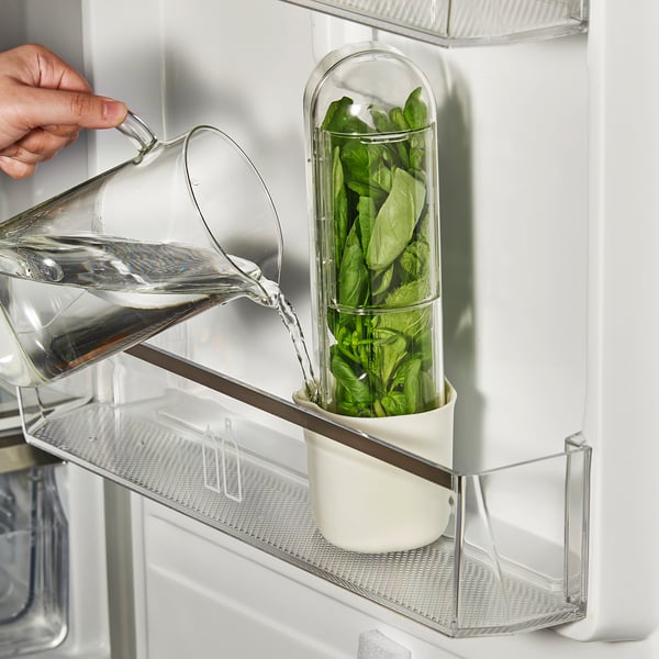 Pouring water into spinach container on fridge shelf.