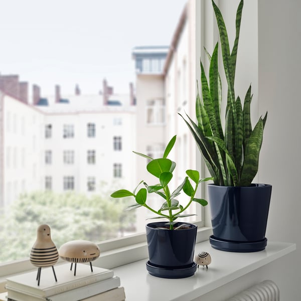 Blue pots with plants on shelf near window. Durable, frost-resistant, indoor/outdoor.