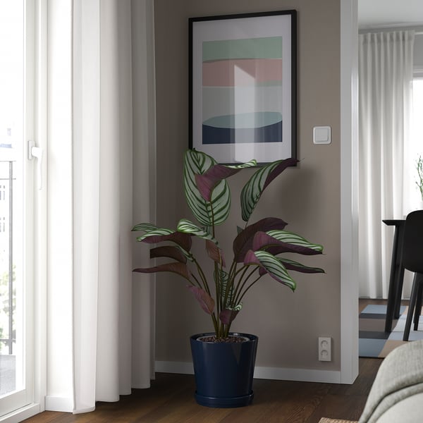 Modern living room with plant and art.
