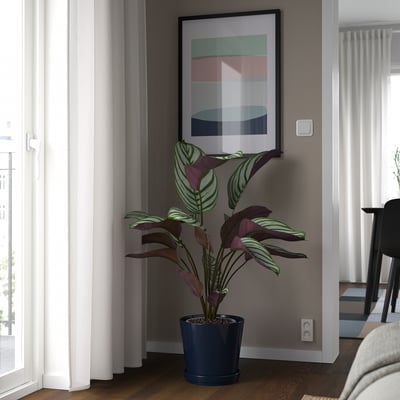 Modern living room with plant and art.