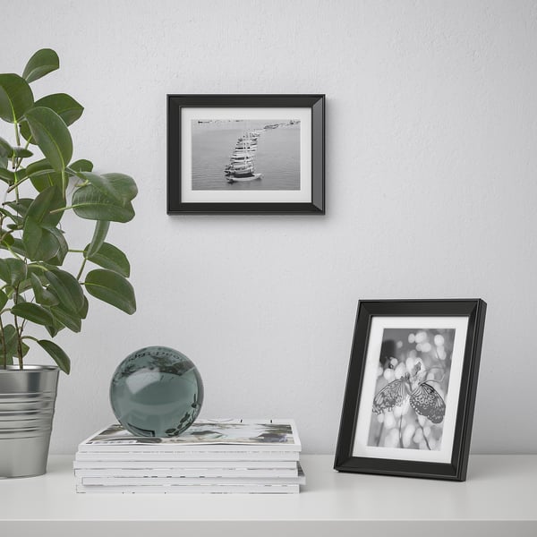Black photo frames display art; one hangs, one stands. A potted plant and metallic globe sit atop books.
