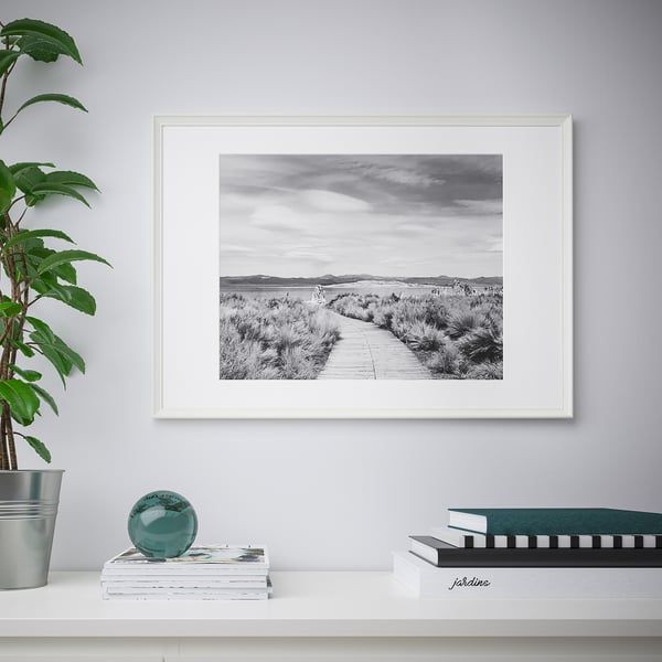 Framed black-and-white coastal photo hangs on a wall above a white shelf. The shelf holds books and a potted plant.