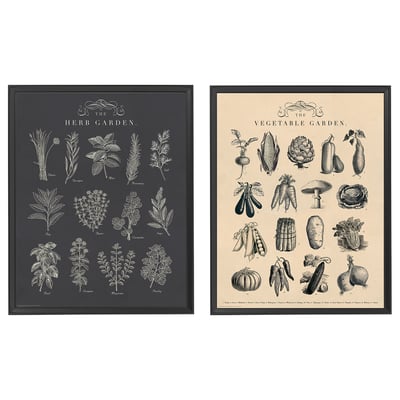 Two framed art prints, black and beige. Left shows herbs, right shows vegetables, both in classic line art style.