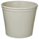 White pottery planter