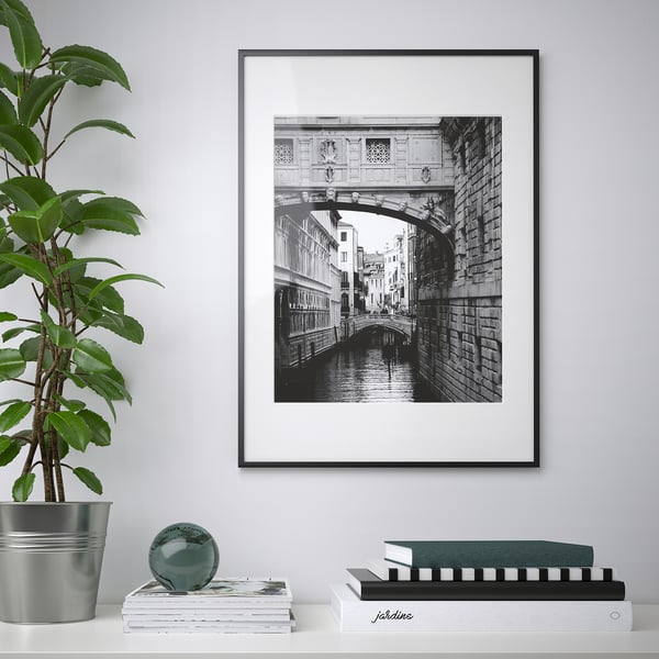 Framed black & white bridge over canal hangs on wall beside potted plant, with books and globe on shelf below.