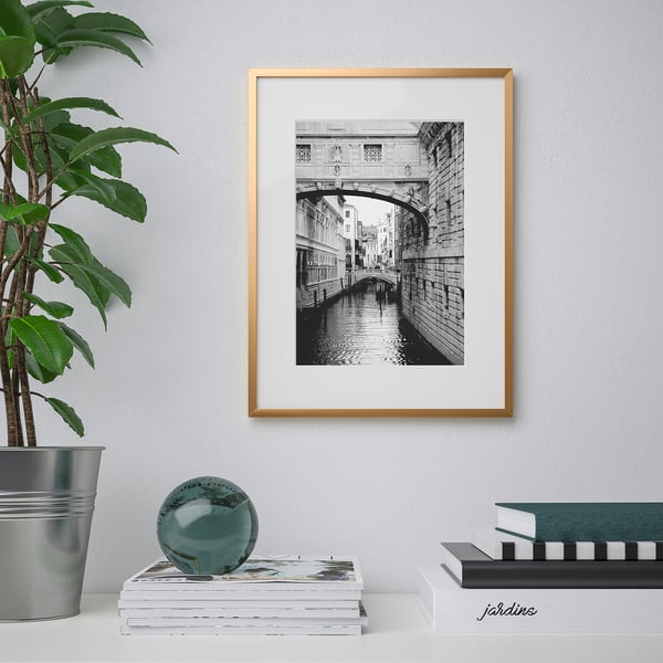 Framed black & white bridge photo hangs on wall, flanked by plant and books.