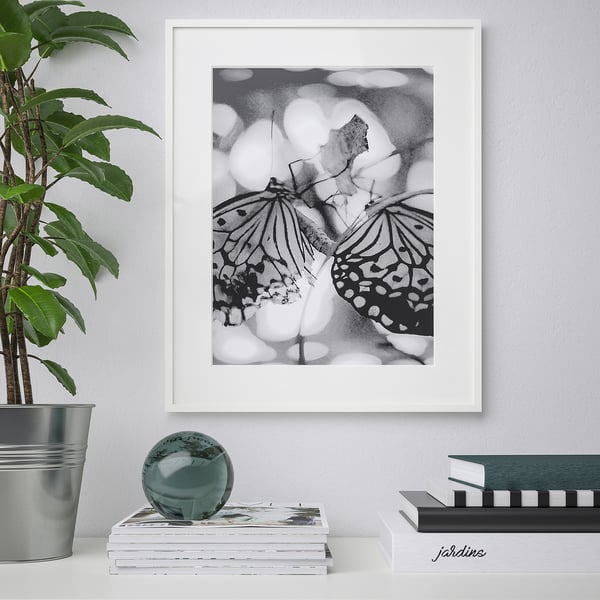 Framed butterfly art hangs on a wall, with a plant to the left and books below.