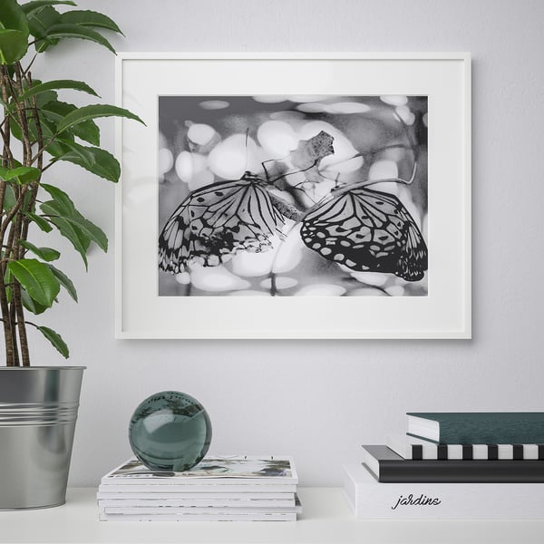 Framed black-and-white two butterflies hangs on wall, flanked by stacked books and a potted plant.