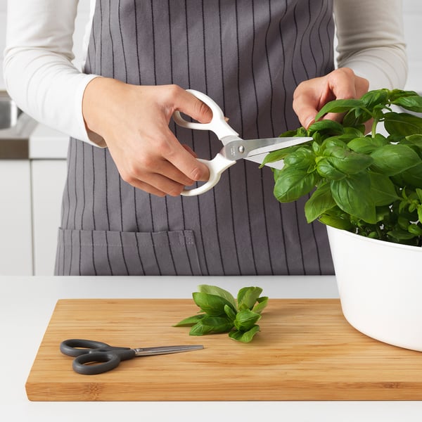 A person holds white scissors cutting fresh basil over a wooden cutting board with an additional pair of scissors and cut basil leaves on it.