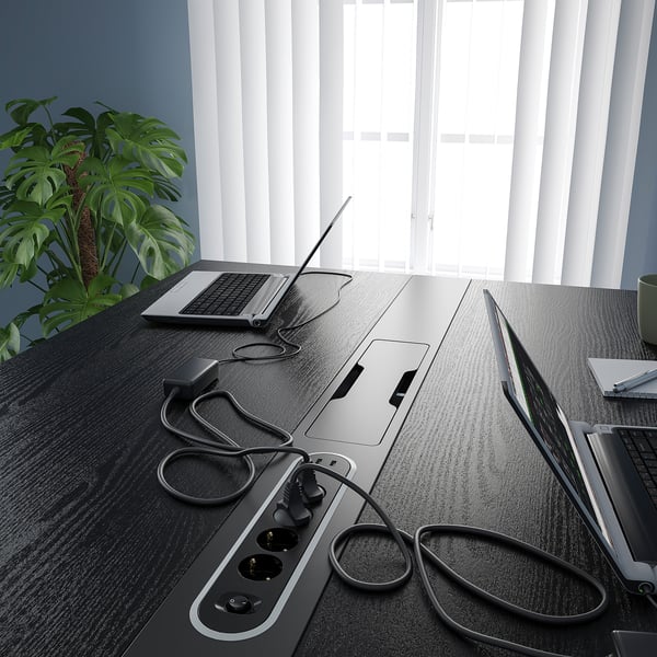 Office desk with laptops and plant.
