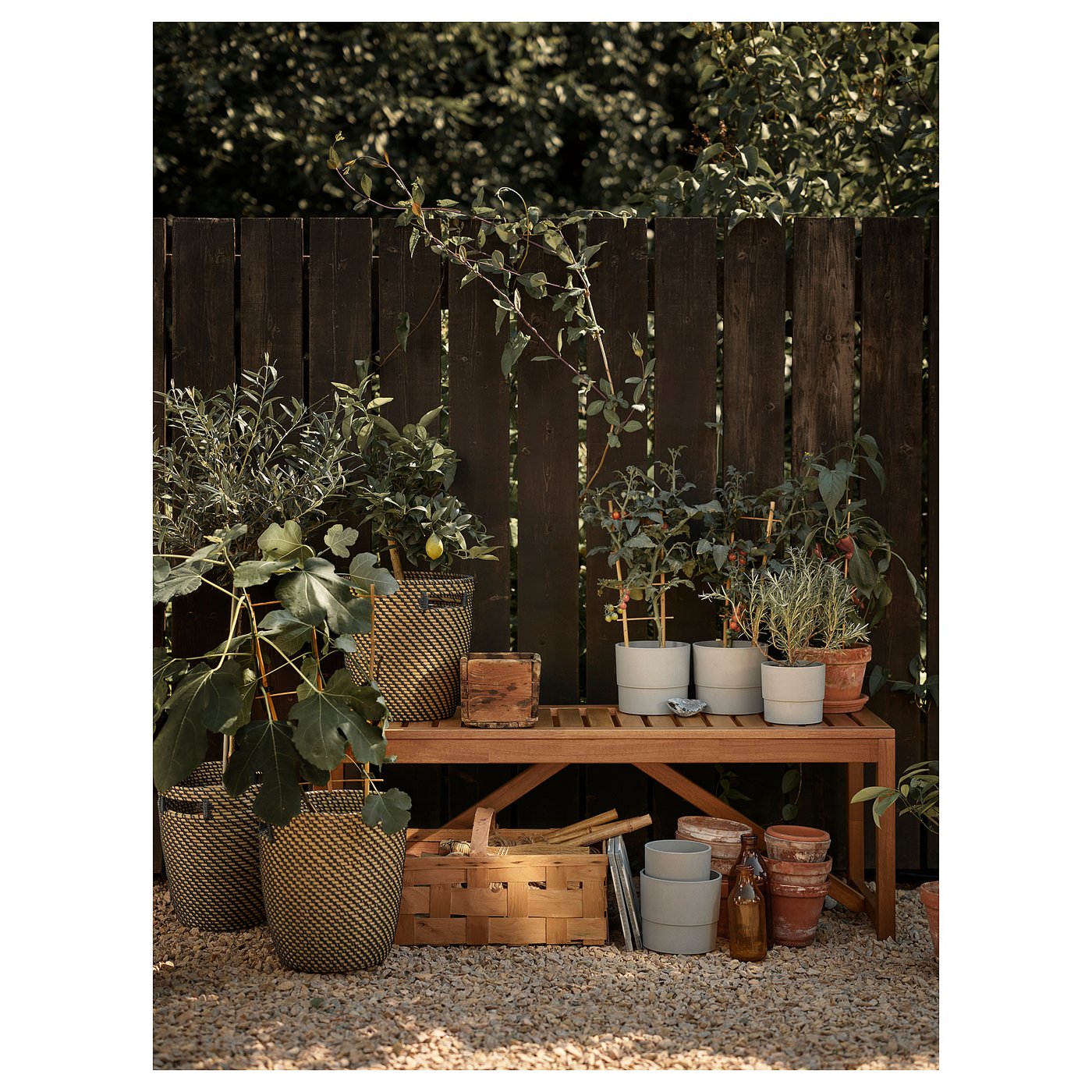 Wooden NÄMMARÖ outdoor bench with wicker plants in pots, baskets, and terrarium, set against a dark wooden fence.