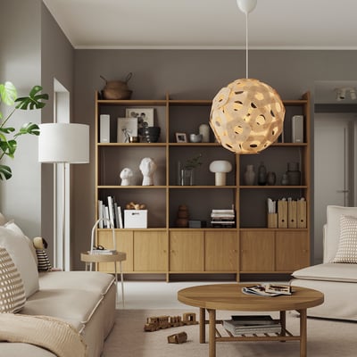 Modern living room with light furniture, central light, decor on shelves, large plant.