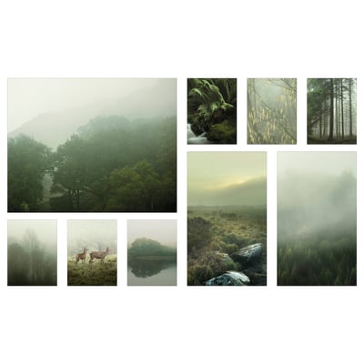 Set of pictures in forest fogs; nature art; tree, deer, water, mist.