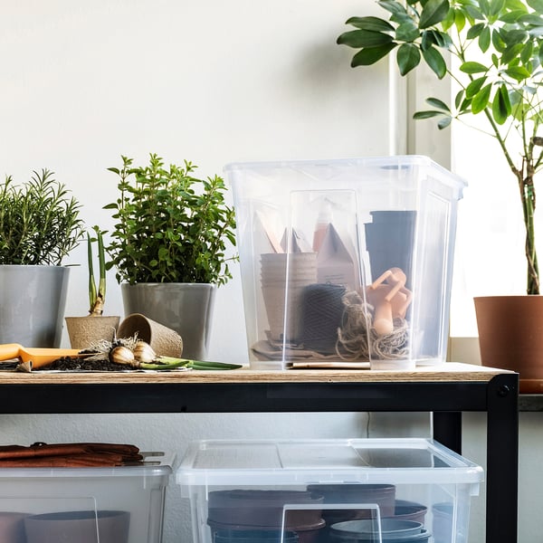 A black shelf with a clear SAMLA box storing gardening supplies, next to potted plants.