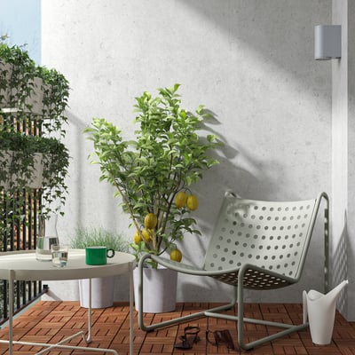 Balcony with SKOGSÖN chair, lemon tree, and accessories.