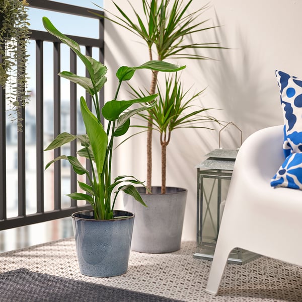 Balcony scene: three plants, white chair, blue pillow, gray pots, black railing, white wall.