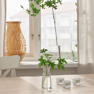 Small vase with a green plant, placed near a window. Accompanied by three small glass cups.