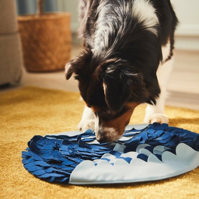 Black and white puppy plays with blue snuffle mat, sniffs for treats.