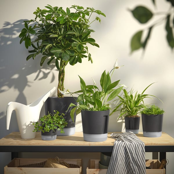 VÅRDTRÄD self-watering plant pots in grey/white on wooden shelf with various green plants.