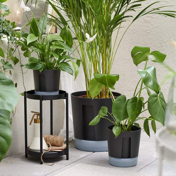 Image shows VÅRDTRÄD self-watering pots with various green plants. Pots are black with blue bottom, stylish and functional.