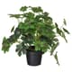 Artificial hanging plants