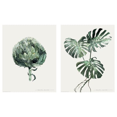 Attēlā redzamas divas atšķirīgas zaļas augu ilustrācijas, viena ar detalizētu artišoku, otra ar tropu lapām, uz balta fona.