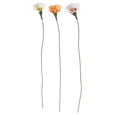 GULDSPETT Mākslīgais zieds, papīrs/Divplūksnu kosmeja dažādās krāsās, 35 cm
