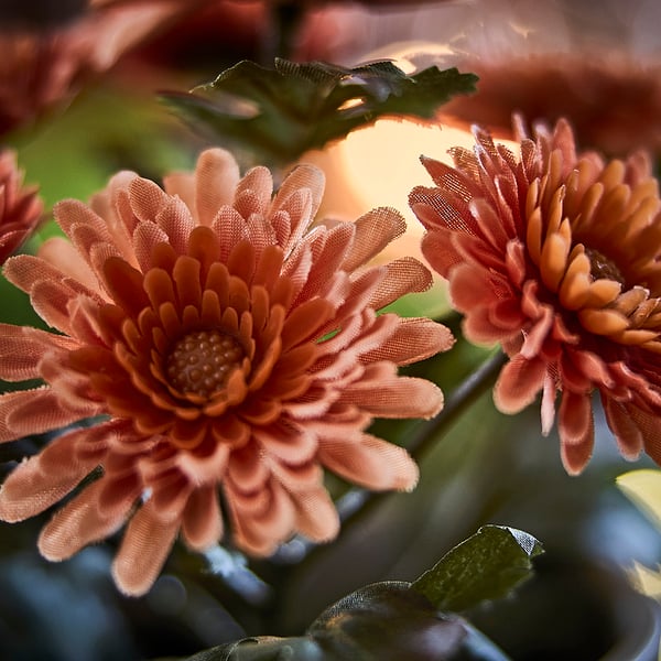 FEJKA Искусственное растение в горшке, д/дома/улицы/Хризантема оранжевый, 9 см