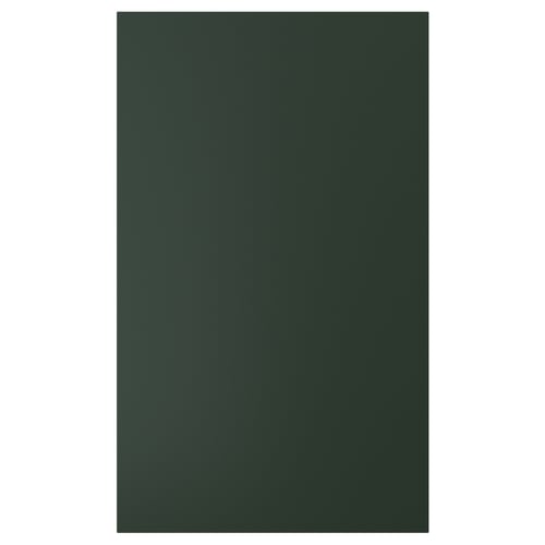 HAVSTORP باب, أخضر زيتوني, 60x100 سم