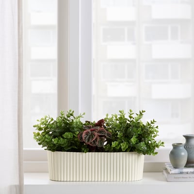 White rectangular planter box with green and purple plants sits near a window.