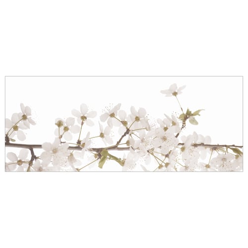 White floral blooms on branch, delicate petals, soft background.