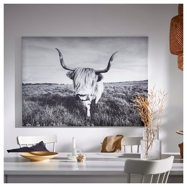 Large black & white framed a highland cattle on a wall. Below it, a white dining table with chairs, decorated with a hat and a bowl.