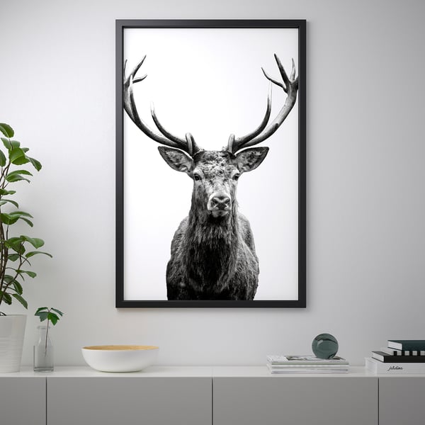 BJÖRKSTA Picture with frame, Horns/black, 78x118 cm