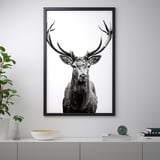 BJÖRKSTA Picture with frame, Horns/black, 78x118 cm