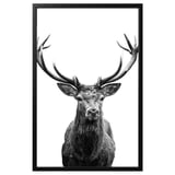 BJÖRKSTA Picture with frame, Horns/black, 78x118 cm