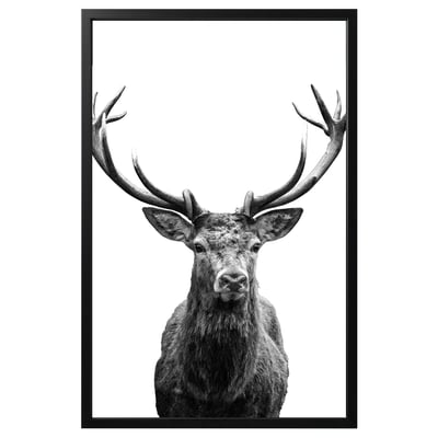BJÖRKSTA Picture with frame, Horns/black, 78x118 cm