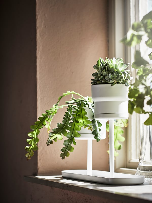 Modern white multi-tiered plant stand, holding lush green plants, displaying greenery stylishly.