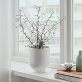 DRÖMSK Plant pot, white, 15 cm