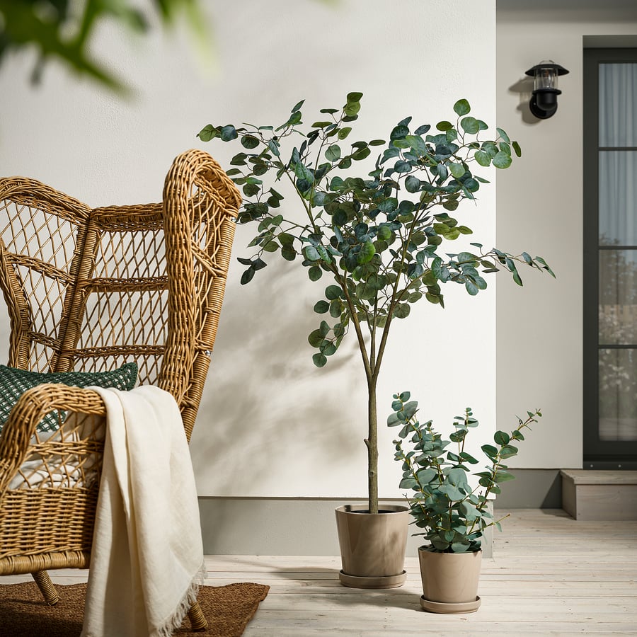 FEJKA artificial potted plant, in/outdoor eucalyptus, 19 cm - IKEA