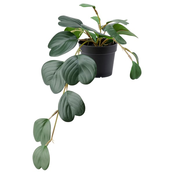 FEJKA Artificial potted plant, in/outdoor hanging/Peperomia, 9 cm