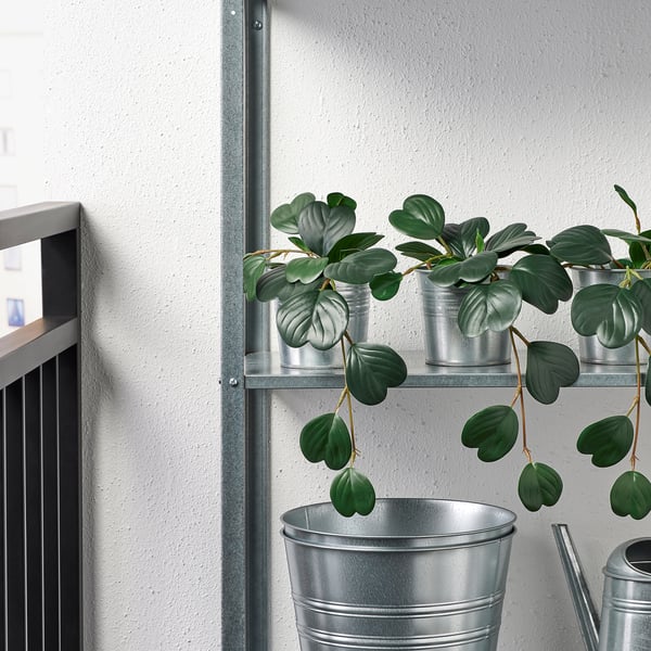 FEJKA Artificial potted plant, in/outdoor hanging/Peperomia, 9 cm