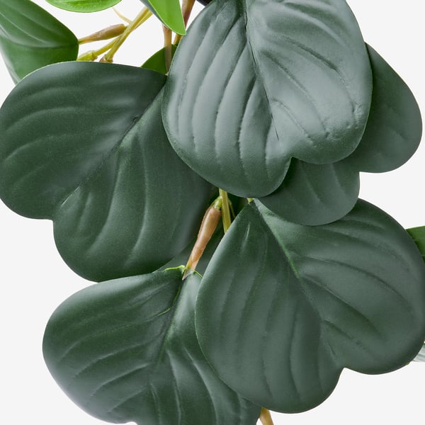 FEJKA Artificial potted plant, in/outdoor hanging/Peperomia, 9 cm