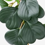 FEJKA Artificial potted plant, in/outdoor hanging/Peperomia, 9 cm