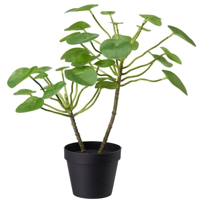 Black potted artificial succulent, green leaves, plastic material, for indoor/outdoor use.